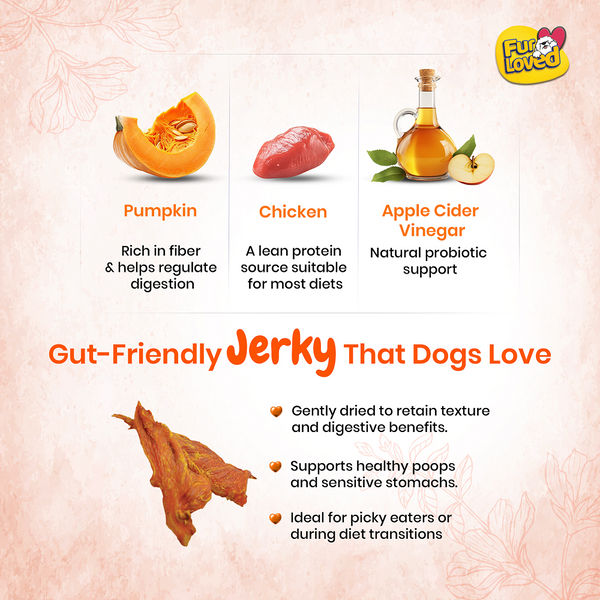FurLoved Chicken and pumpkin High Protein Dog Treats