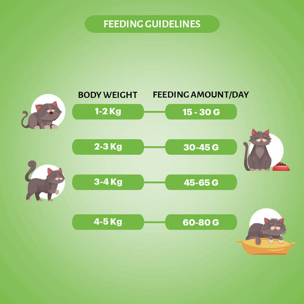 Signature Grain Zero Chicken & Vegetable Adult All Breed Adult Cat Dry Food