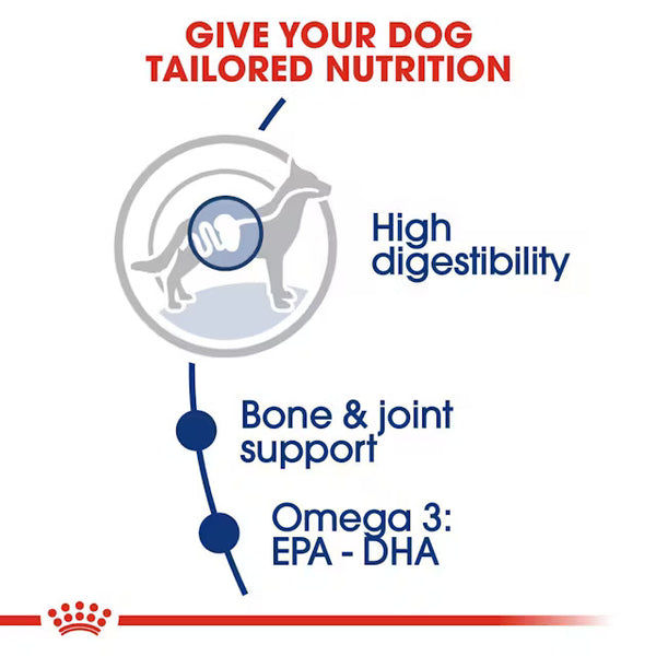 Royal Canin Maxi Adult Dog Food For Dogs 5+ years of Age, Dry Food