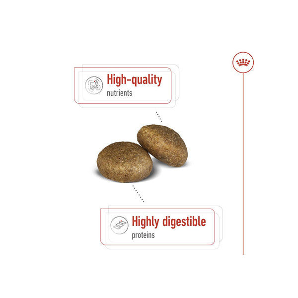 Royal Canin Maxi Adult Dog Food For Dogs 5+ years of Age, Dry Food