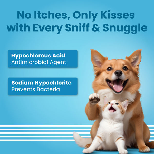 Bark Out Loud Allergy and Itch Relief Shampoo and Anti Microbial Skin Spray for Dogs and Cats Combo