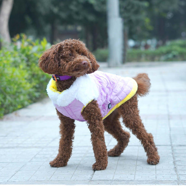 Pets Way Cozyquilt Winter Jacket for Dogs (Mauve)