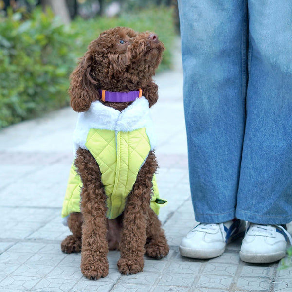 Pets Way Reversible Cozy Quilt Fur Winter Jacket for Dogs (Yellow)