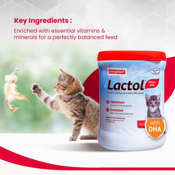 Beaphar Lactol Milk Replacement Powder for Kitten