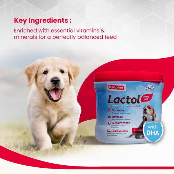 Beaphar Lactol New Born Milk Replacement Powder for Puppies