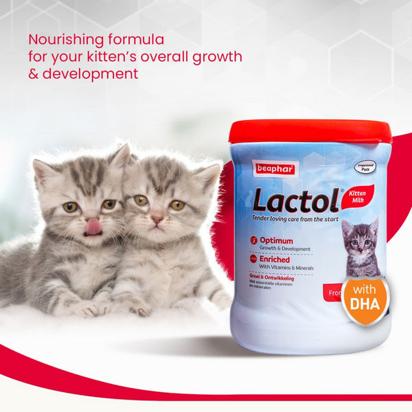 Beaphar Lactol Milk Replacement Powder for Kitten
