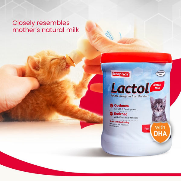 Beaphar Lactol Milk Replacement Powder for Kitten