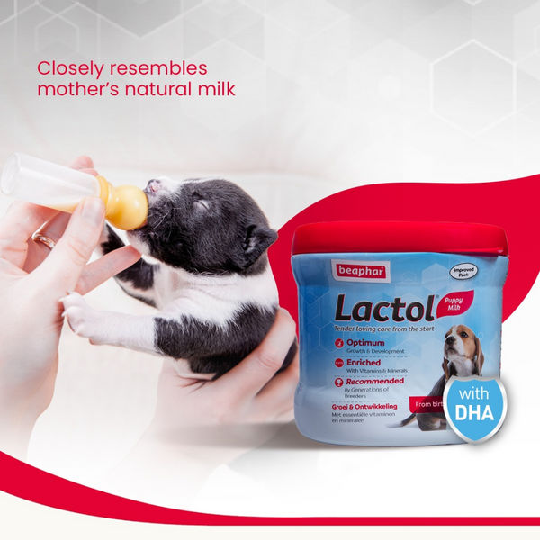 Beaphar Lactol New Born Milk Replacement Powder for Puppies
