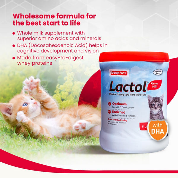 Beaphar Lactol Milk Replacement Powder for Kitten