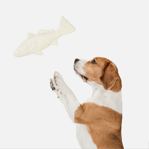 Barkbutler x Fofos Durable Cuttlefish Chew Toy for Dogs