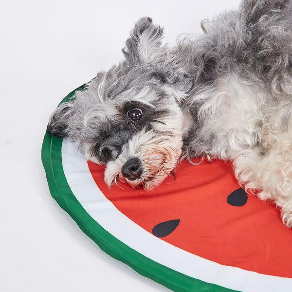 Fofos Watermelon Cooling Mat for Dogs & Cats (Green/Red)