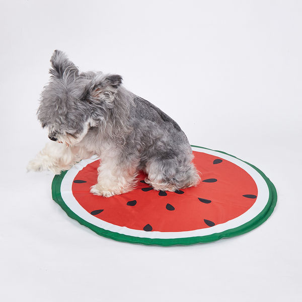 Fofos Watermelon Cooling Mat for Dogs & Cats (Green/Red)
