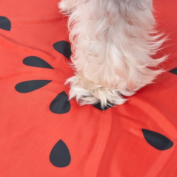 Fofos Watermelon Cooling Mat for Dogs & Cats (Green/Red)