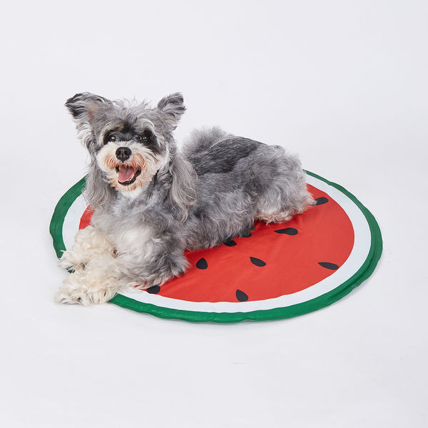 Fofos Watermelon Cooling Mat for Dogs & Cats (Green/Red)