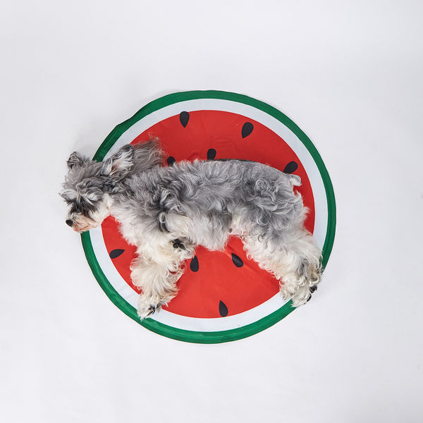 Fofos Watermelon Cooling Mat for Dogs & Cats (Green/Red)