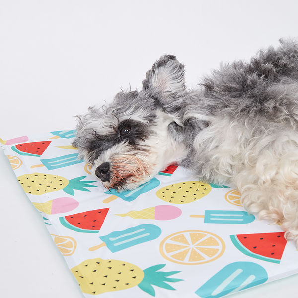 Fofos Fruits Cooling Mat for Dogs & Cats