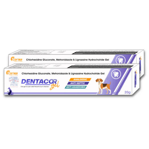 Corise Dentacor Oral Gel for Dogs and Cats
