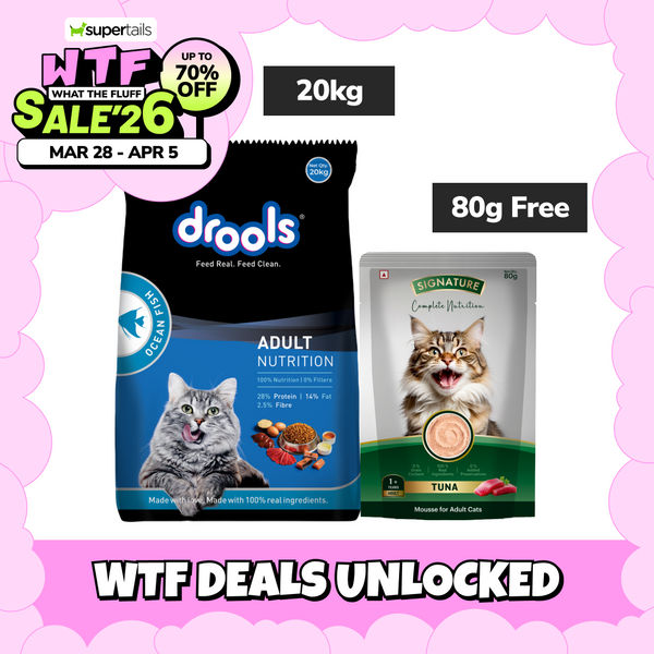 Drools Ocean Fish Adult Cat Dry Food