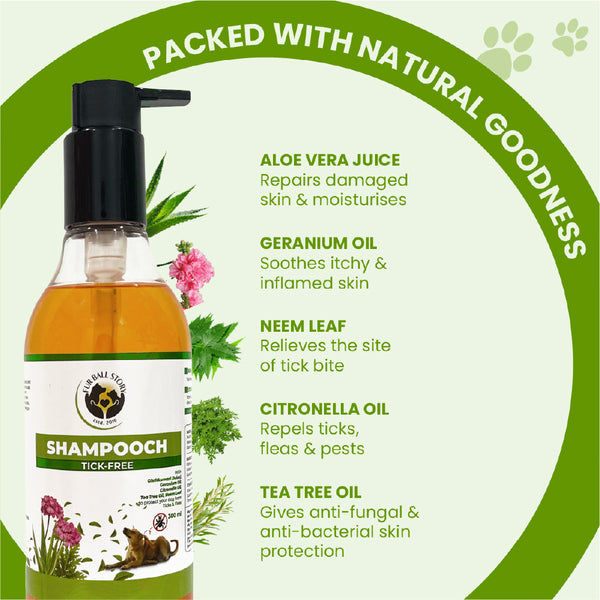 FurBall Story Shampooch Tick Free Shampoo for Dogs