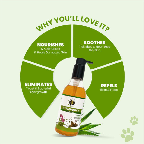 FurBall Story Shampooch Tick Free Shampoo for Dogs