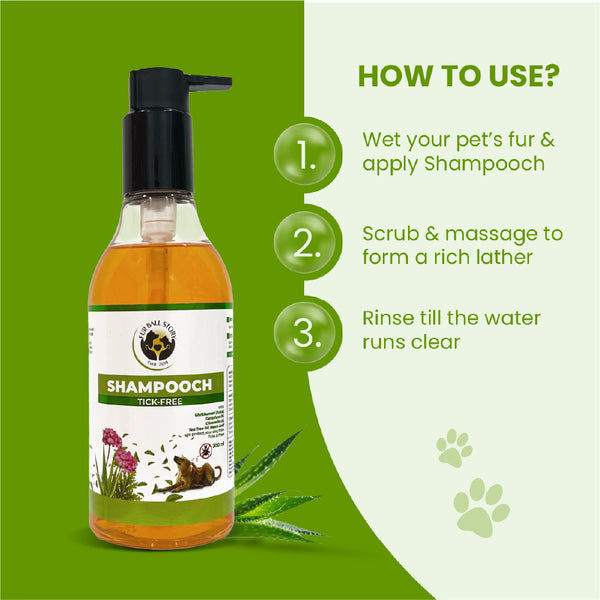 FurBall Story Shampooch Tick Free Shampoo for Dogs