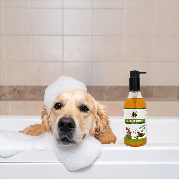 FurBall Story Shampooch Tick Free Shampoo for Dogs