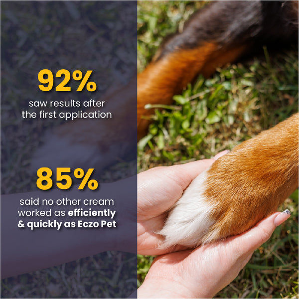 FurBall Story Eczo Pet Cream for Dogs and Cats