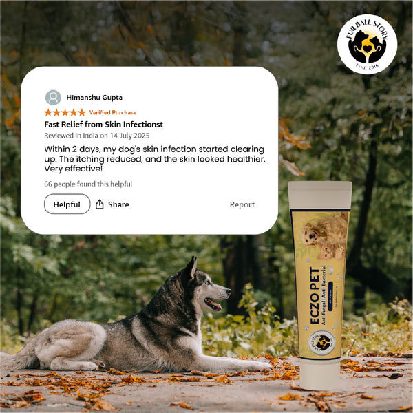 FurBall Story Eczo Pet Cream for Dogs and Cats
