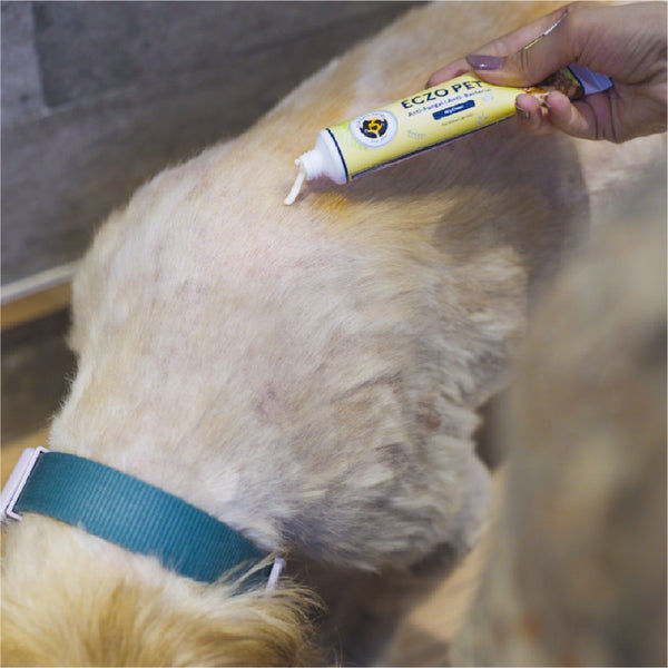 FurBall Story Eczo Pet Cream for Dogs and Cats