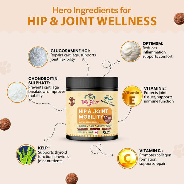 TailsAlive Hip & Joint Chicken Flavor Soft Chews Supplements for Dogs