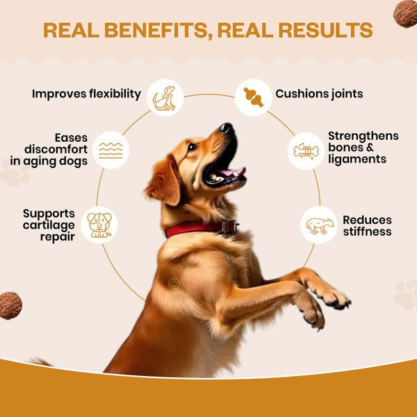 TailsAlive Hip & Joint Chicken Flavor Soft Chews Supplements for Dogs