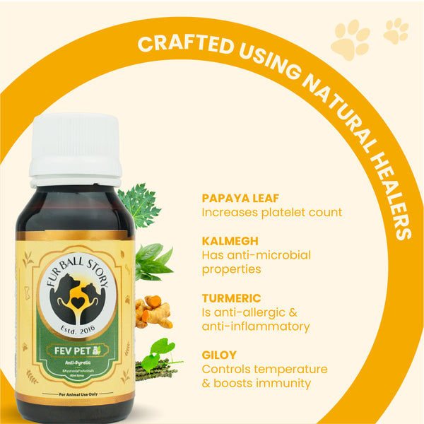 FurBall Story Fever, Cough & Cold Relief Syrup for Dogs and Cats