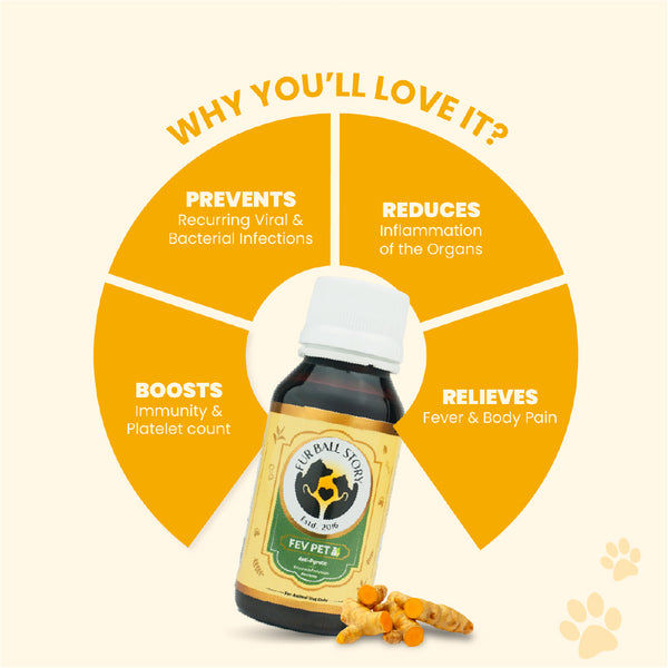 FurBall Story Fever, Cough & Cold Relief Syrup for Dogs and Cats