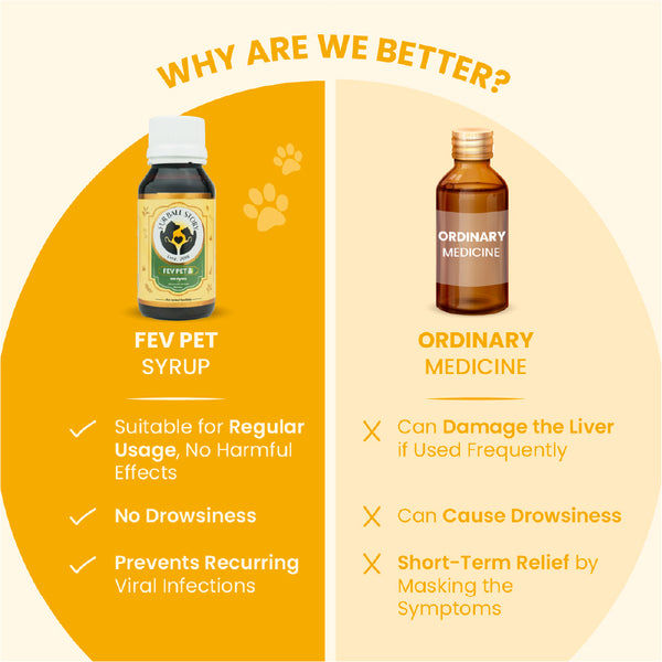 FurBall Story Fever, Cough & Cold Relief Syrup for Dogs and Cats
