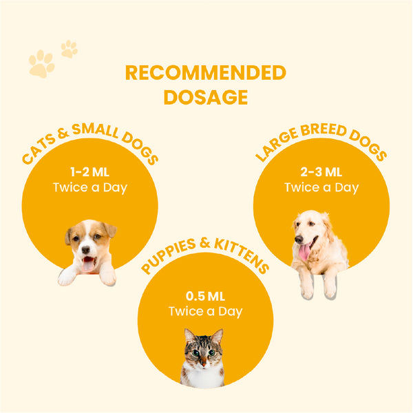 FurBall Story Fever, Cough & Cold Relief Syrup for Dogs and Cats