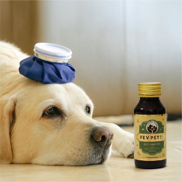 FurBall Story Fever, Cough & Cold Relief Syrup for Dogs and Cats