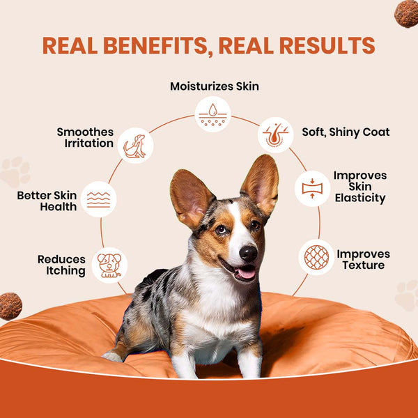 TailsAlive Skin & Coat Soft Chews Supplement for Dogs