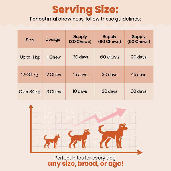TailsAlive Skin & Coat Soft Chews Supplement for Dogs