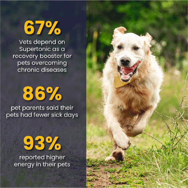 FurBall Story Supertonic Overall Wellness Syrup for Dogs and Cats