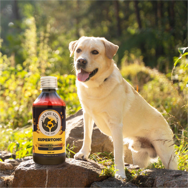 FurBall Story Supertonic Overall Wellness Syrup for Dogs and Cats