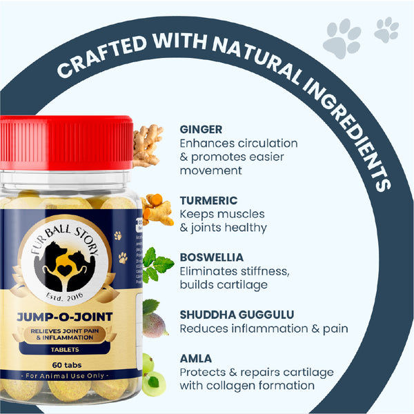 FurBall Story Jump O Joint Care tablets for Dogs and Cats