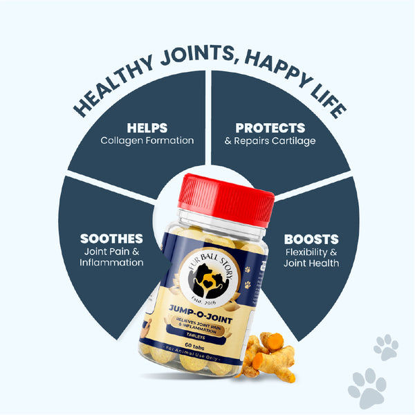 FurBall Story Jump O Joint Care tablets for Dogs and Cats