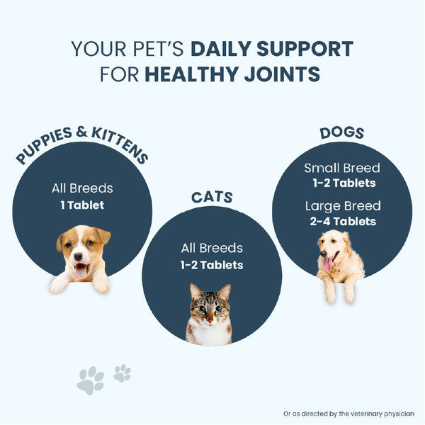 FurBall Story Jump O Joint Care tablets for Dogs and Cats