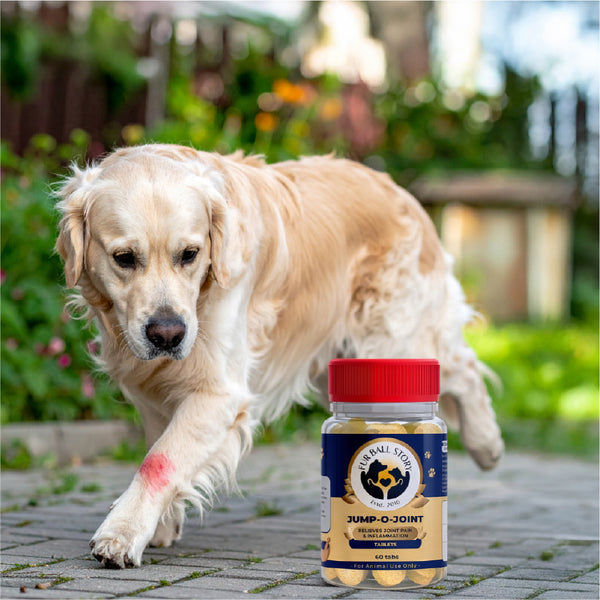 FurBall Story Jump O Joint Care tablets for Dogs and Cats