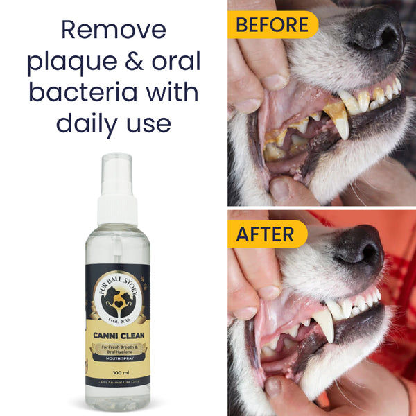 FurBall Story Canni Clean Oral Hygiene Mouth Spray for Dogs and Cats