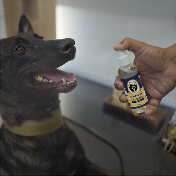 FurBall Story Canni Clean Oral Hygiene Mouth Spray for Dogs and Cats
