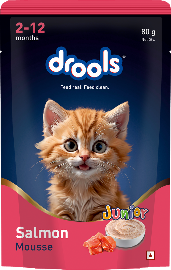 Drools Salmon Mousse Kitten Cat Wet Food