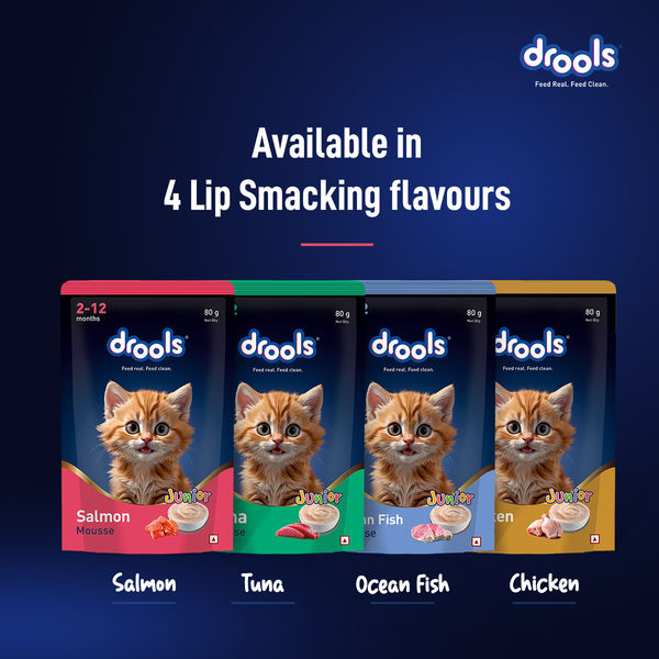 Drools Salmon Mousse Kitten Cat Wet Food