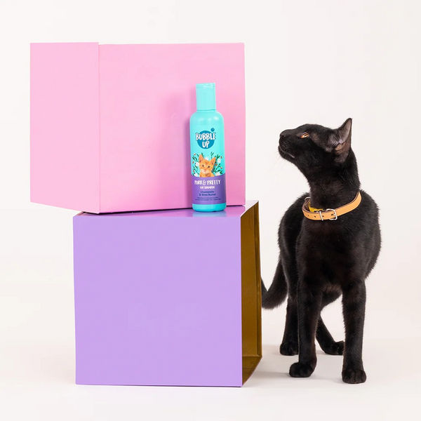 Bubble Up Chamomile and Shea Butter Shampoo for Cats