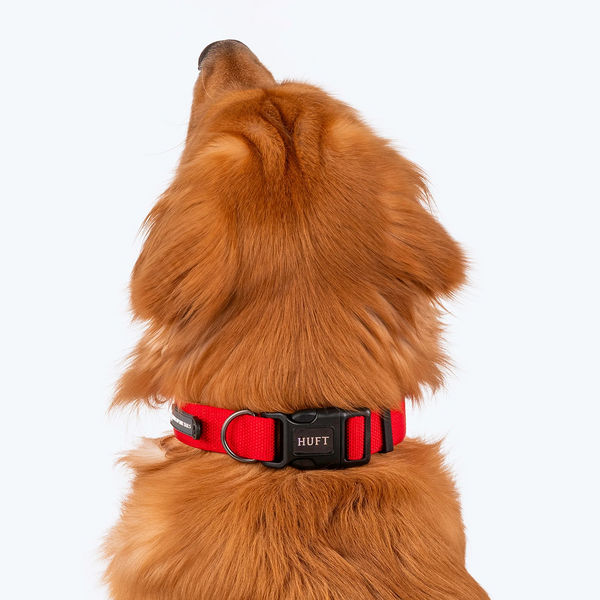 HUFT Basics Adjustable Nylon D Ring Collar for Dogs (Crimson Red)